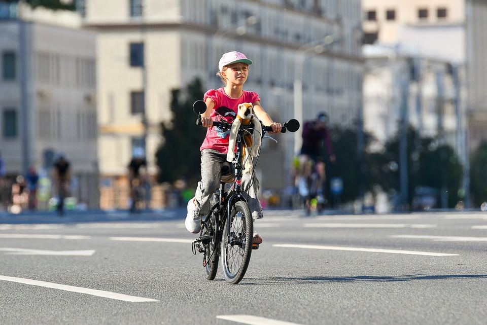 Фото 54522d94d03c47a899f3bc86f1949882 с события Cyclingrace Вечернее Садовое